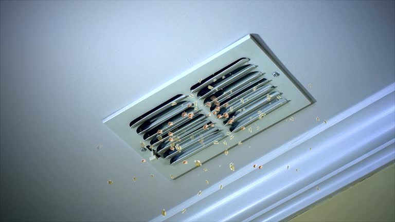 Best Affordable Duct Cleaning Services  in Thomasville, AL